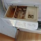   Indesit wisl83