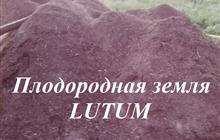   Lutum       