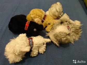   The Dog Collection   ,        ,   ~14   ~6 ,    100 ?    -