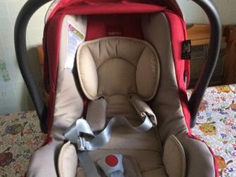   inglesina,   ,  !: /  -