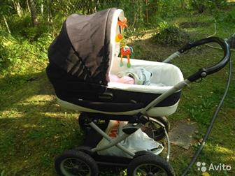  Peg-Perego Culla Auto  ,   -   ,   ()    ,      -