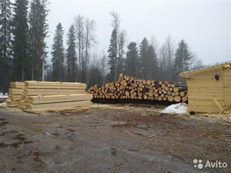 ������������ ����������� �������� �� ���, �������� ���� ��������� (����, �����, �������, ������ � � �), 1-2 �������� -  ����� ����� � ������� 1 ���� - 9500 �������� � �����-����������