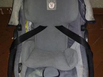   Peg-Perego Primo Viaggio SL,   ,  -   , : /  -