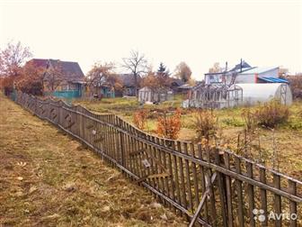 ��������� ������� ���, � ��������� �������� 12 �����,  �� ������ �� ���,  ����� �����������!  ���� ������������� �� ����������� �����, � �������� �����,  ������ � �����-����������