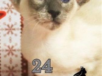      ,  3,5 ,    ,   ,   ,       ,    -