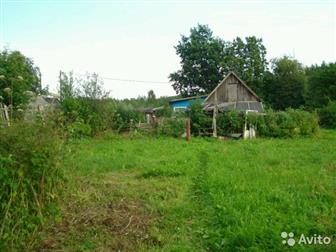 ������ ��� � �������� � �������� ����� �� ������ ���� �����, ����� ���,  ��� � ������ ����������, ���� �������� �� �������,       �� ������� ���� ����, ��������� � �����-����������