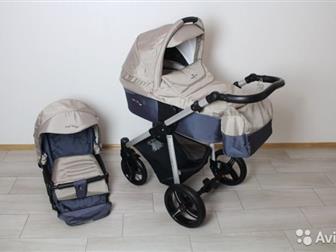    Bebetto Niko Plus   21,     ,        6 ,    ,  -