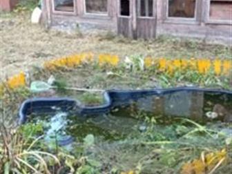 Отличный дом для отдыха! угловой участок,  огорожен от соседей полностью живым забором! в доме имеется свет,вода,  туалет,душ в доме! бойлер,насос,колодец тоже есть, в Санкт-Петербурге
