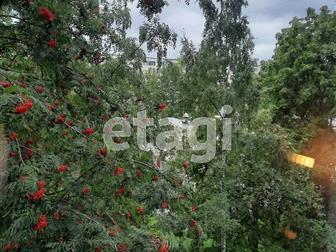 � ������ ������� 1 ��������� ��������, �� ���������� 5 � ����� 9 �������� ����, � 15 ������� ������ �� ����� ����������,  ��� ����� �� �����, � ����� �����,  ��������������: � �����-����������