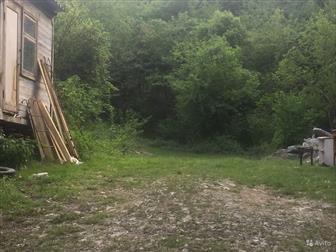  : 561579 -    ,     10      ,    ,  ,    