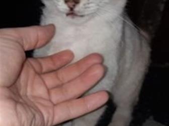     , 5   