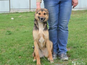 !!! )))   (   ), ,   1 ,   ,    ,     