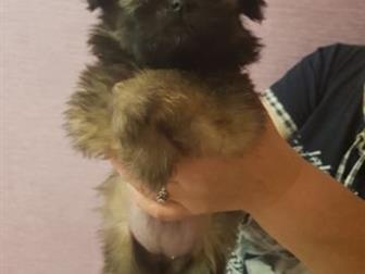  ,  24, 10, 2019,    ,  ,    , ,    ,   