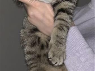      :      !   ,  ,  !  