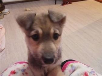 !      !        ,      , , ,    