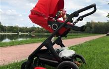 Stokke Trailz black   