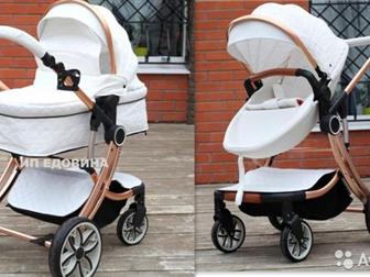    adamex zippy peg perego stokke  21 (     )!      