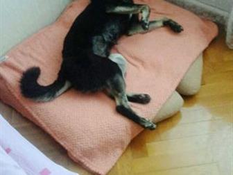 ,     ,    ,     ,     ,   ,      