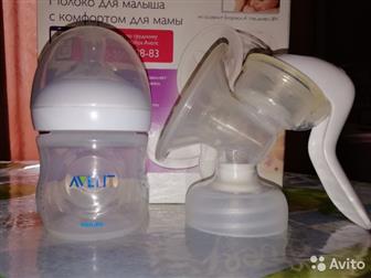   Philips Avent  Natural       ,     ,      