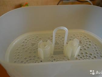    Philips Avent,   : /  