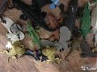 Игрушки ко макси