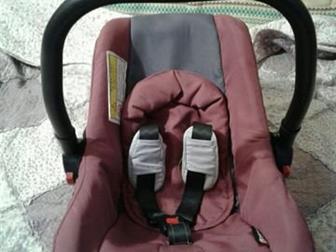 Bertoni, 0        ,  ,  ,        , :  