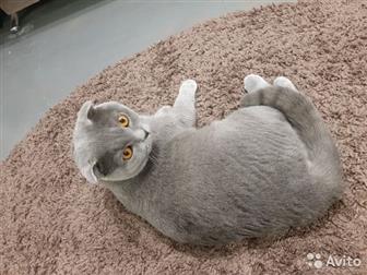  ,1 ,  ,,, !   , ,     ,    !  -