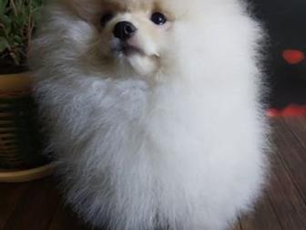  ,  27 ,  ,   ,  , , , ,  , ,  ,  ,  