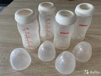 Pigeon Peristaltic Plus -       ,  240 ,       ,     ,   