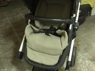  Peg-Perego ,  : /   