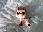 Littlest Pet Shop