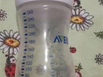    Avent,  ,   ,    , :   