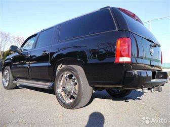 Cadillac Escalade    !!! /   !    , , !   