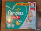 - Pampers