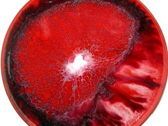    MG EPOX ART -     ,       EPOXY ART RESIN,       