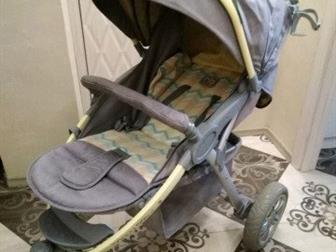 appy Baby Neon Sport -      ,  - ,        ,  