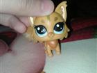 Littlest Pet Shop