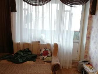   1981 ,  ,         43 ,  ,  ,  ,  ,  