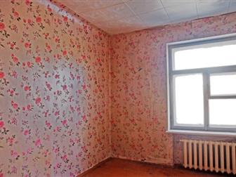  ,   ,       , , ,    ,  - 22,1 ,  , ,   