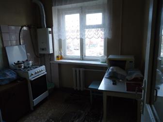  3-  ,   ,  / ,     ,     ,      (   