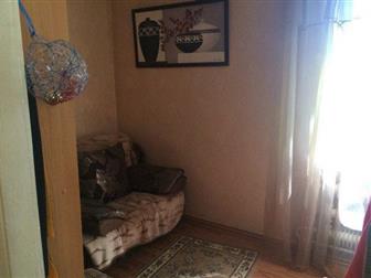  ,  (),    ,  ,  7   ( ), ,  100 , 300 ,  ,    