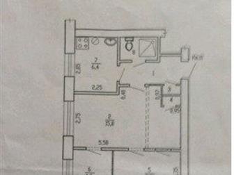  ,  (),    ,  ,  7   ( ), ,  100 , 300 ,  ,    