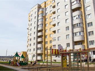  1-       ,    2019 ,   28 , ,   11 , , ,  ,    