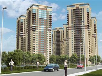       ,   ,   ,     ,     2019-  