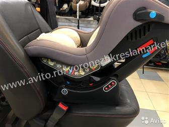 Happy Baby PASSENGERGrey :0 /1 (  0  18 ,     4 )   -4650069782810  -Grey /   3 !!!!!:  