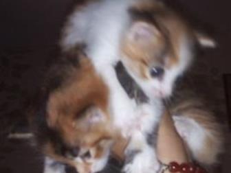     ,    ,   2 ,    ,  ,  ,      