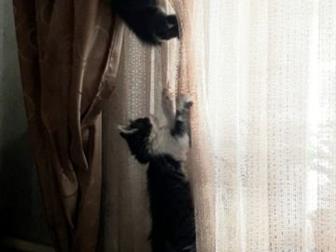      ,    , ,  , ,      ,   ,   ,    