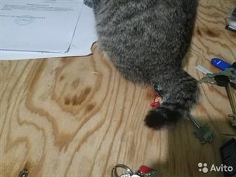        ,  ,   ,      ,   ,     
