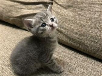  , 1,5 ,   ,  ,  
