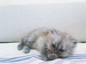  ,  1, 5 ,    ,    ,      